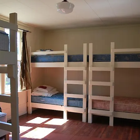 Golden Tree Hostel-3